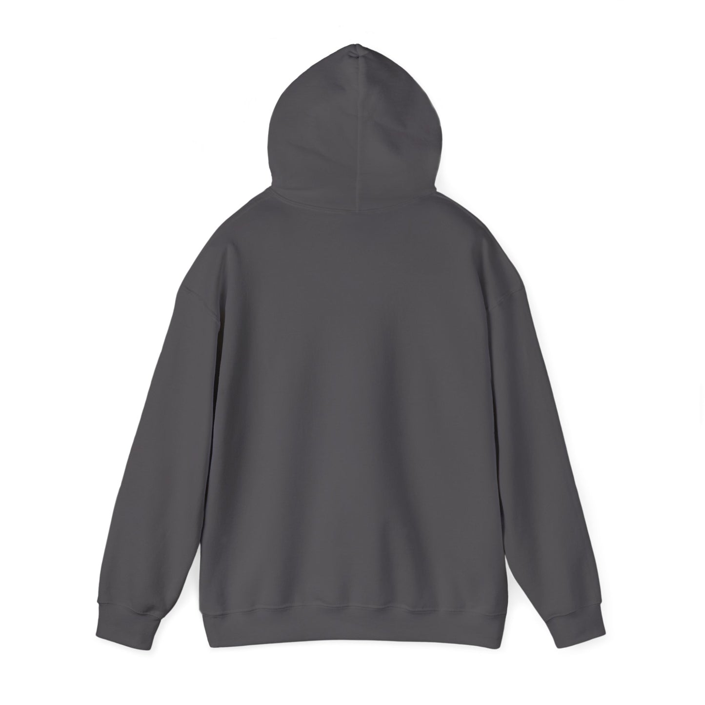 Boarding Shield Hoodie